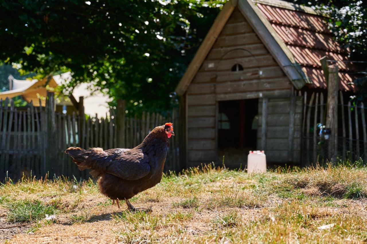 Sandberghe - Een Plek Om Te Verdwalen Uden Exterior foto
